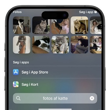 330A4481-12E7-4376-85F2-93DDCFA569F6_4_5005_c